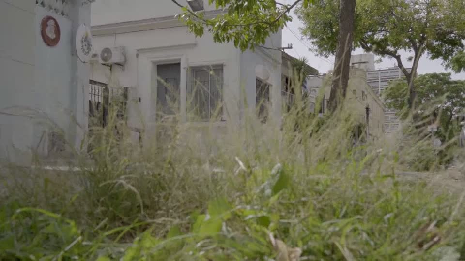 Vegetación junto a la vereda