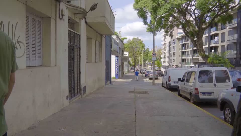 Vista de la avenida y su circulación